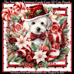 The Sweetest Christmas Candy Cane & Cute Pooch