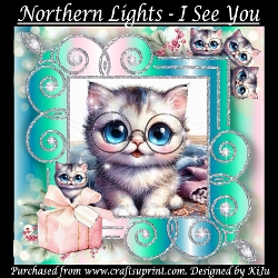 Northern Lights - I See You