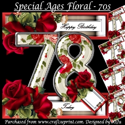 Special Ages Floral 70s Bumper Kit