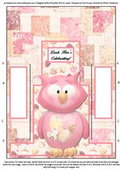 Hoo's Celebrating - Single Sheet Centre Stepper