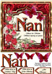 Nan . . . Shares Her Wisdom Without Imposing an Opinion