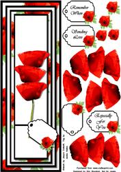Perfect Poppies - Large Dl