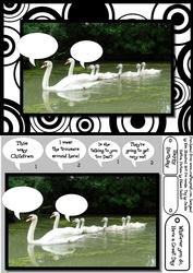 Funny Wild Thing - Mother Swan