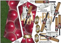 Cricket - Tie Shaped Card Front