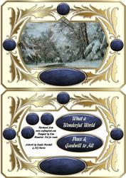 What a Wonderful World - Framed Aperture Card