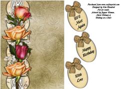 Writing Letters Home Insert