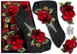 Beautiful Black Shoe - Edgy