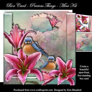Box Card - Precious Things - Mini Kit