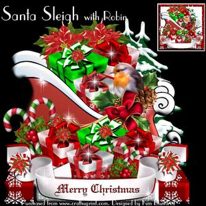 Santa Sleigh - with Robin