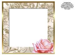 Hand-tied Bouquet - Pink Roses - Square Insert