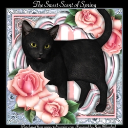 The Sweet Scent of Spring