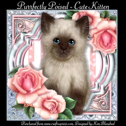 Purrfectly Poised - Cute Kitten
