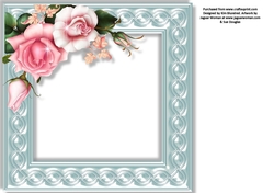 Special Sentiments Insert