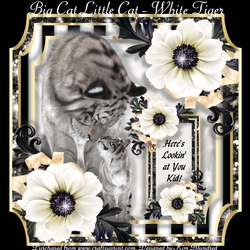 Big Cat Little Cat - White Tiger