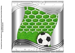 Special Ages Football - Insert 1