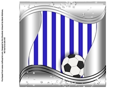 Special Ages Football - Insert 8