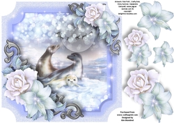 Frozen Land - Seal Family