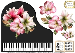 Baby Grand Piano - Black 13 - Beautiful Amaryllis