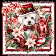 The Sweetest Christmas Candy Cane & Cute Pooch