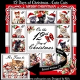 12 Days of Christmas - Cute Cats