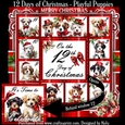 12 Days of Christmas - Playful Puppies