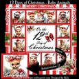 12 Days of Christmas - Baby Animals