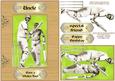 Have a Wicket Day, Cricket Card Front & Decoupage