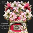 Hand-tied Bouquet - Festive Amaryllis - Mini Kit