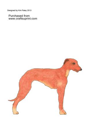 Lurcher Dog