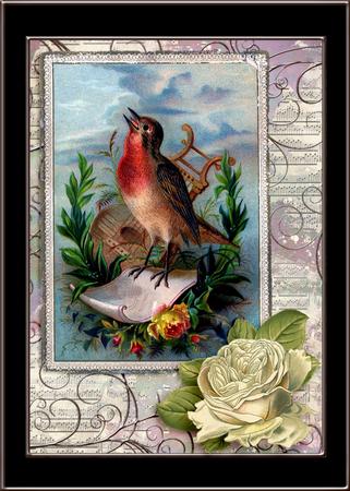 Song Bird