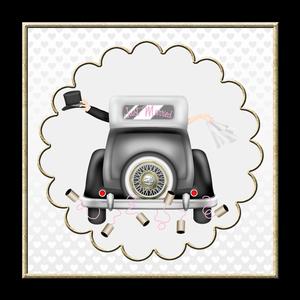 Just Married Car Mini Kit