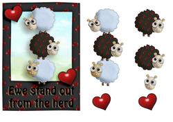 Ewe Stand Out from the Crowd