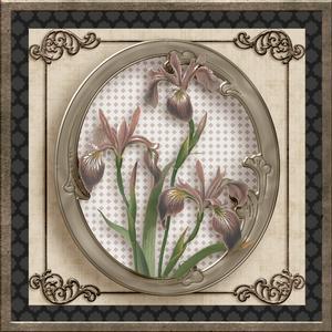 Irises