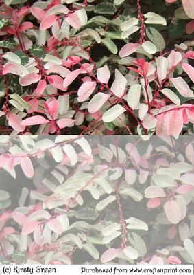 Duel - Colourful Leaves 1 Backing Paper