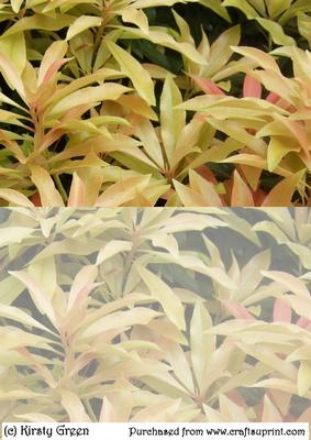 Duel - Colourful Leaves 3 Backing Paper