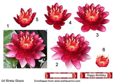 Water Lily Flower Decoupage with Matching Tags
