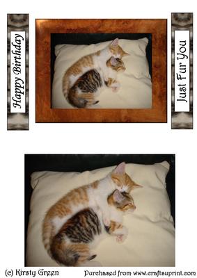 2 Kitten Toppers Card - with Matching Tags