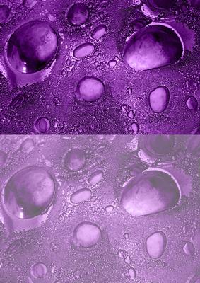Duel - Glass Bubbles - Cadbury Purple Backing Paper