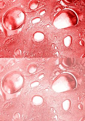 Duel - Glass Bubbles - Coral Backing Paper
