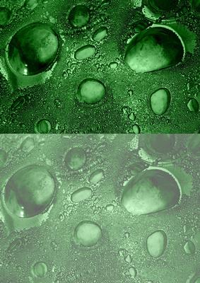Duel - Glass Bubbles - Dusky Green Backing Paper