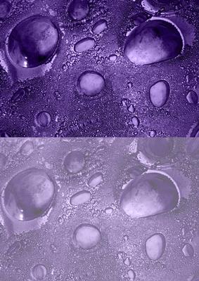 Duel - Glass Bubbles - Dusky Purple Backing Paper