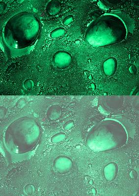 Duel - Glass Bubbles - Jade Backing Paper