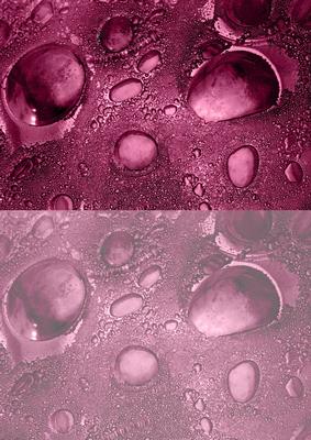 Duel - Glass Bubbles - Plum Backing Paper