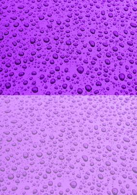 Duel Backing Paper - Rain Drops - Cadbury Purple