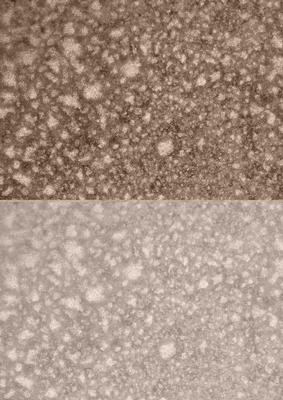 Duel - Shimmering Metallic Chocolate Backing Paper