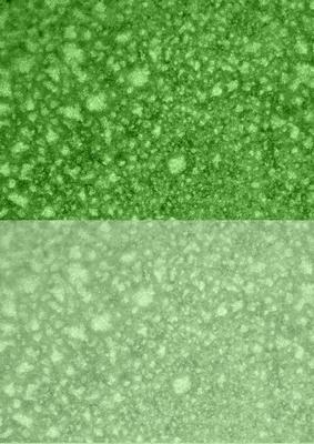 Duel - Shimmering Metallic Dusky Green Backing Paper
