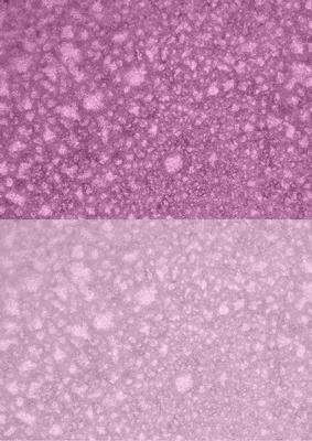 Duel - Shimmering Metallic Dusky Pink Backing Paper
