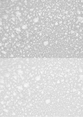Duel - Shimmering Metallic Pale Silver Backing Paper