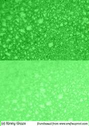 Duel Shimmering Metallic Green Backing Paper