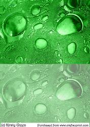 Duel Glass Bubbles Green Backing Paper